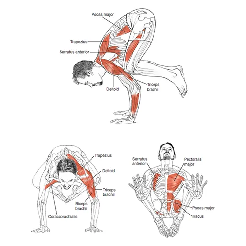 Crow pose